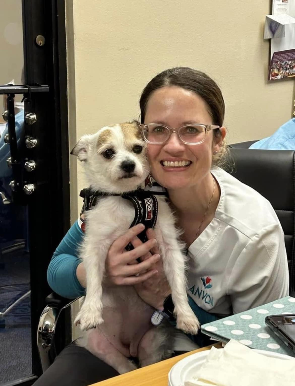 hospice nurse holding small dog